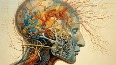 the brain