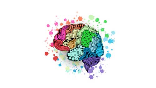 تأثیر رنگ ها در مغز