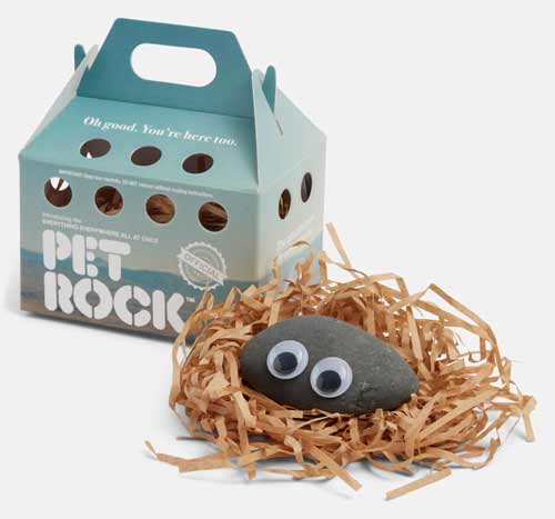 Pet Rock: سنگ‌های خانگی