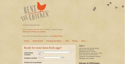 Rent-A-Chicken اجاره مرغ