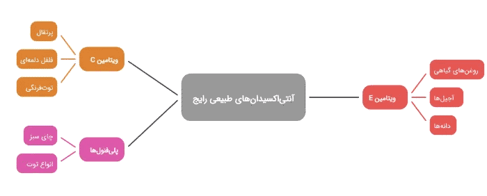 علمی